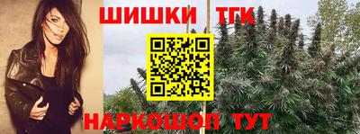 ECSTASY Лесосибирск