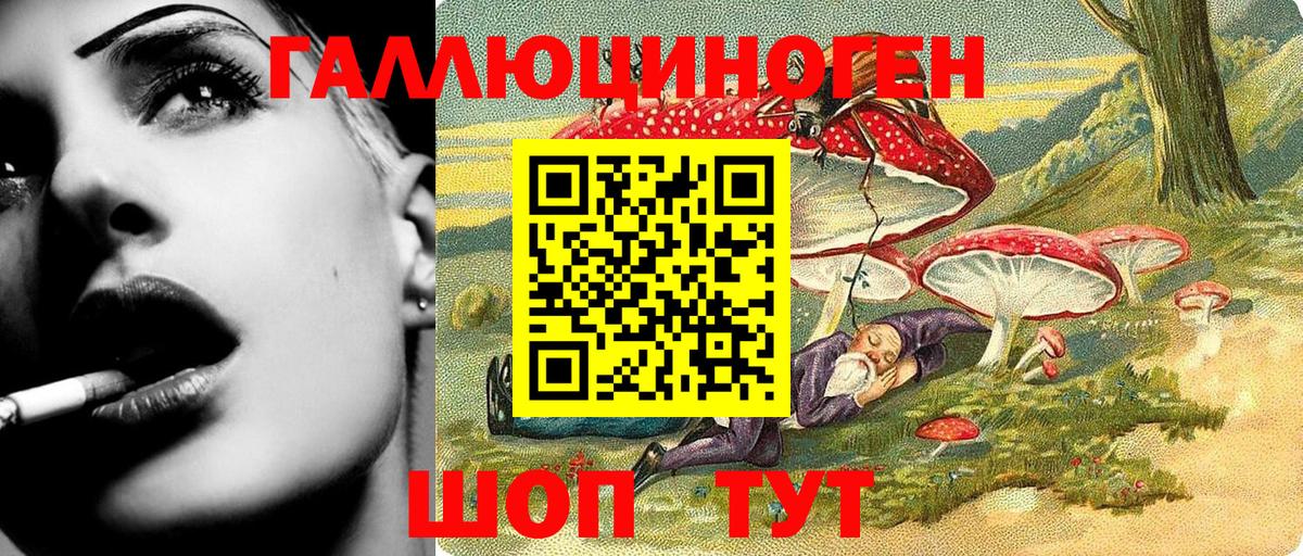 Егорьевск  Псилоцибиновые грибы Cubensis  Вход с VPN  Галлюциногенные грибы Psilocybine cubensis 