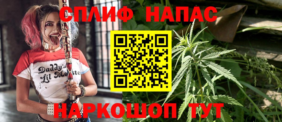 Конопля гибрид Егорьевск